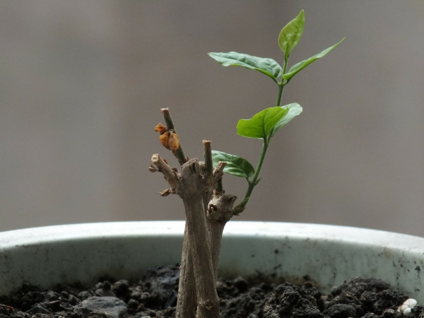 1671676699133939.jpg 图片8.jpg