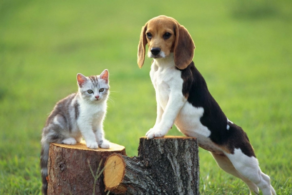 1671676717155545.jpg 图片9.jpg