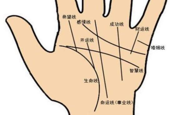 财运线是什么、没有财运线会穷吗 财运线是什么、没有财运线会穷吗