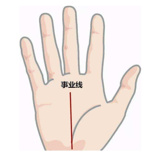 女人的事业线 女人的事业线