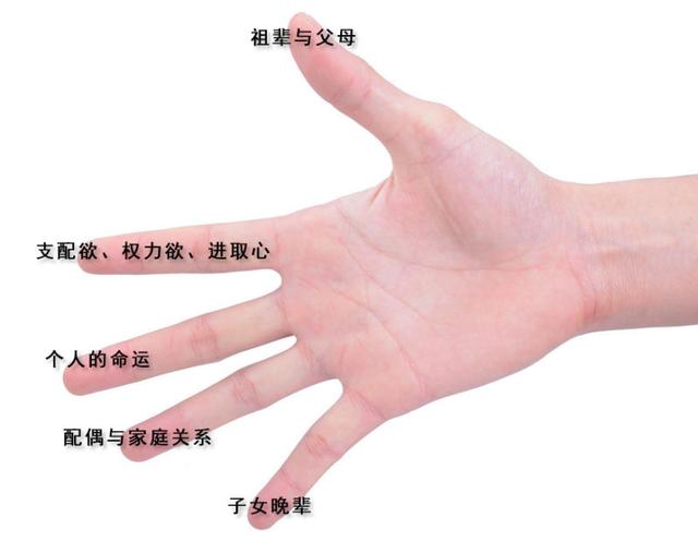 从手指长短看你的运势好不好? 从手指长短看你的运势好不好?