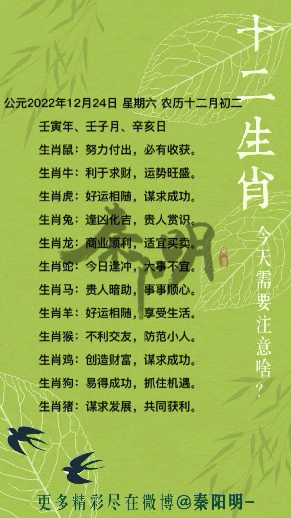 秦阳明生肖每日运势（22年12月24日）