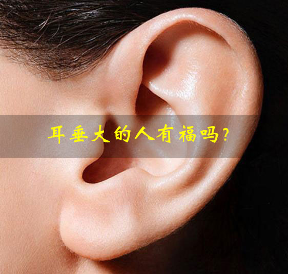 耳垂大的人有福吗?