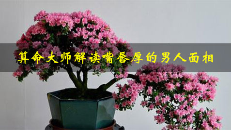 算命大师解读嘴唇厚的男人面相 算命大师解读嘴唇厚的男人面相