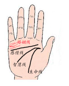 婚姻线在哪里?