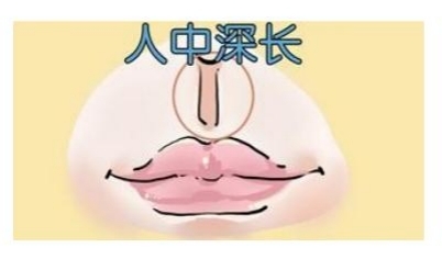 婚姻幸福的女人面相有什么特征? 婚姻幸福的女人面相有什么特征?
