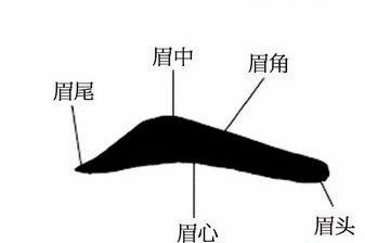 算命大师分析眉毛看婚姻事业和财运 算命大师分析眉毛看婚姻事业和财运