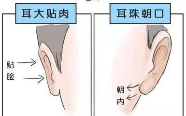 面相解析何为贴脑耳 面相解析何为贴脑耳