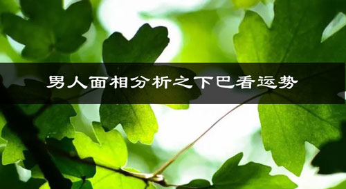 男人面相分析之下巴看运势 男人面相分析之下巴看运势