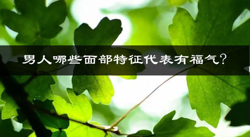 男人哪些面部特征代表有福气? 男人哪些面部特征代表有福气?