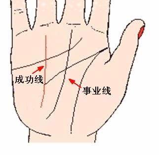 男人哪种手相特征代表偏财运旺?