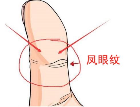 女人有凤眼纹财运好吗?