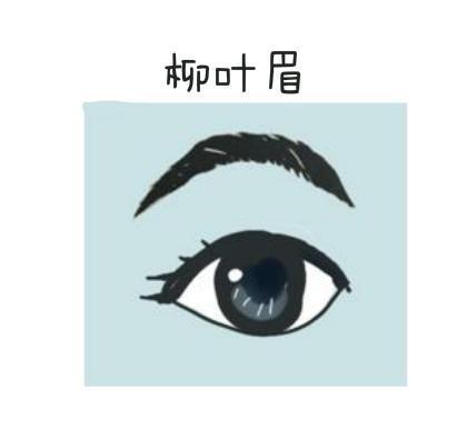 面相分析之柳叶眉的人性格分析 面相分析之柳叶眉的人性格分析