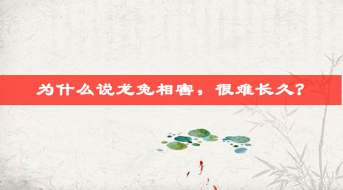 为什么说龙兔相害,很难长久? 为什么说龙兔相害,很难长久?