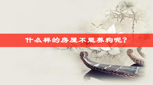 风水大师告诉你什么样的房屋不能养狗 风水大师告诉你什么样的房屋不能养狗