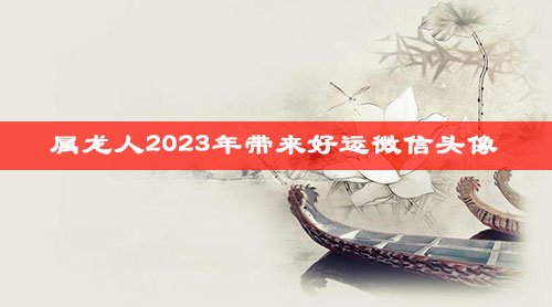 属龙人2023年带来好运微信头像