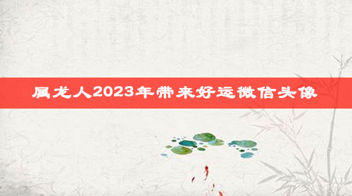 属龙人2023年带来好运微信头像