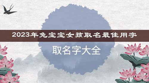 2023年兔宝宝女孩取名最佳用字