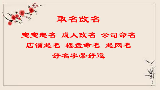 2023年兔宝宝女孩取名最佳用字