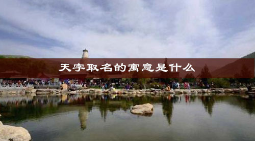 天字取名的寓意是什么