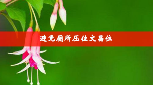 避免厕所压住文昌位
