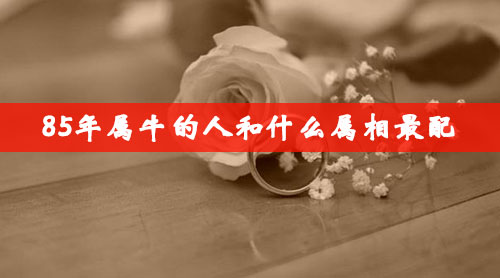 85年属牛的人和什么属相最配