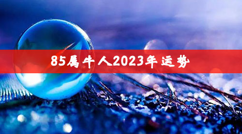 85年属牛的人和什么属相最配