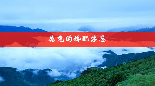 属兔的婚配禁忌