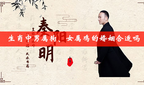 生肖中男属狗、女属鸡的婚姻合适吗?