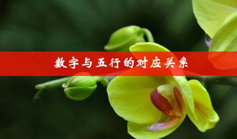 数字能量学1-9号人财运详解