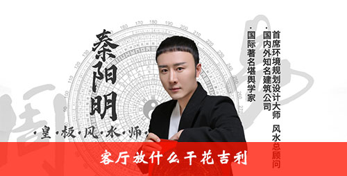 客厅放什么干花吉利 客厅放什么干花吉利