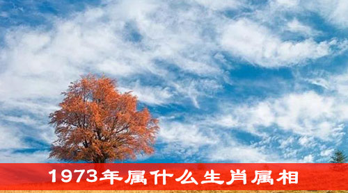 1973年属什么生肖属相