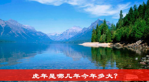 虎年是哪几年今年多大?