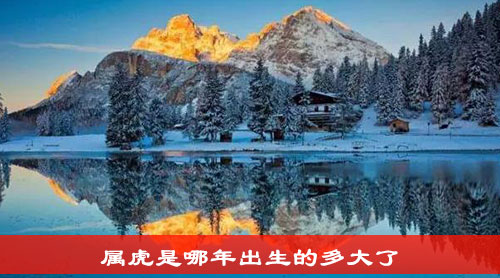 属虎是哪年出生的多大了