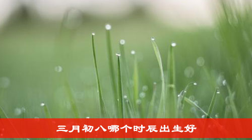 三月初八哪个时辰出生好