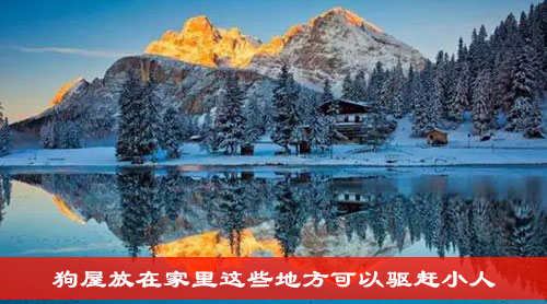 狗屋放在家里这些地方可以驱赶小人