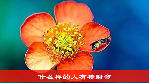 什么样的人有横财命