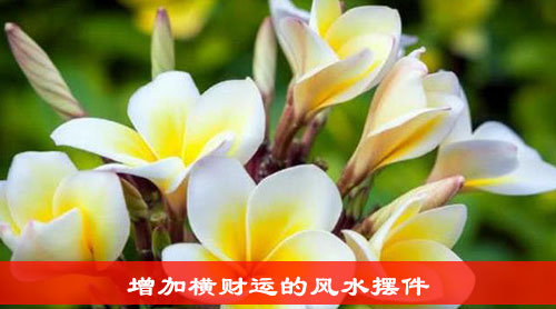 wenzhangimg4.jpg