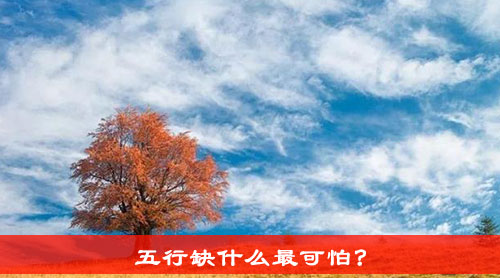 五行包括哪五行?