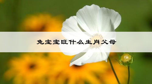 兔宝宝旺什么生肖父母