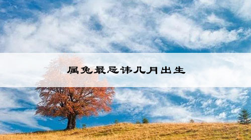 属兔最忌讳几月出生
