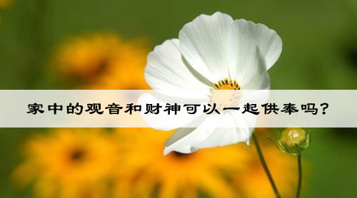 家中的观音和财神可以一起供奉吗?