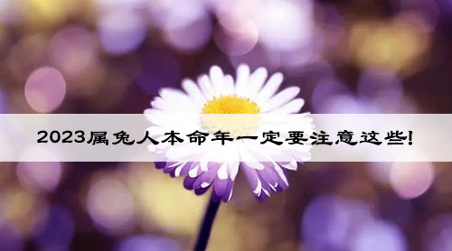 2023属兔人本命年一定要注意这些!