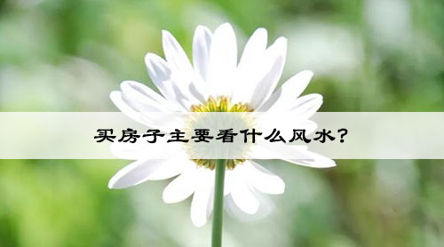 买房子主要看什么风水?