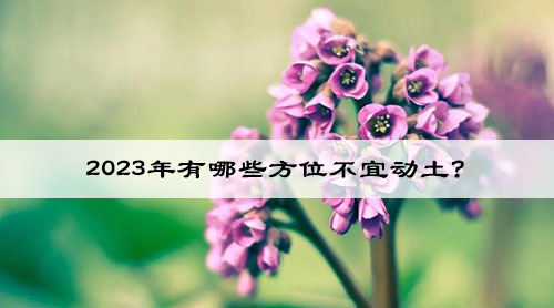 1681874736107238.jpg wenzhangimg.jpg