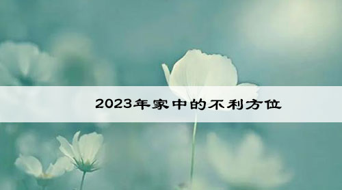 2023年家中的不利方位 2023年家中的不利方位