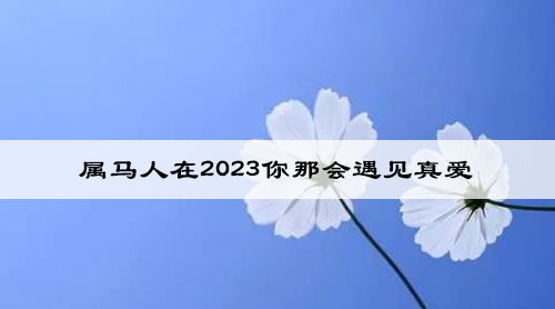属马人在2023你那会遇见真爱