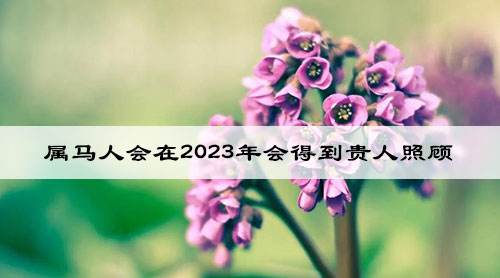 属马人会在2023年会得到贵人照顾