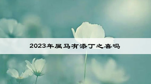 2023年属马有添丁之喜吗