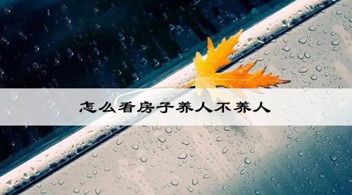 wenzhangimg4.jpg
